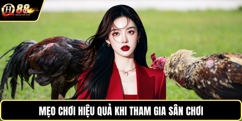 Mẹo chơi hiệu quả khi tham gia sân chơi