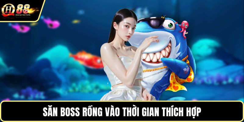 Săn boss rồng vào thời gian thích hợp