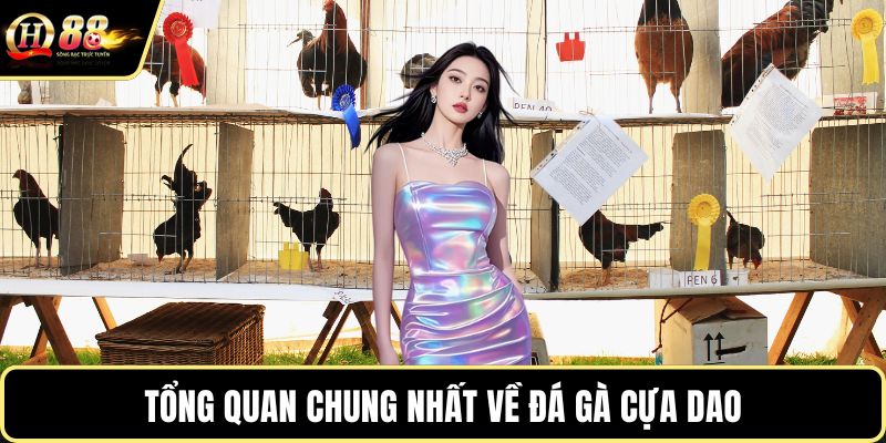Tổng quan chung nhất về đá gà cựa dao